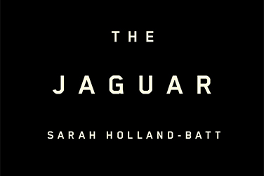 David Mason reviews 'The Jaguar' by Sarah Holland-Batt